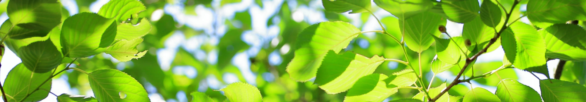 プライバシーポリシー